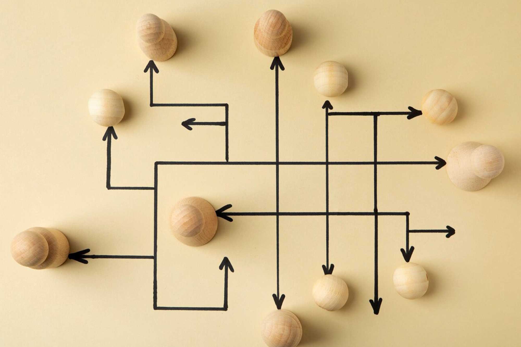 Organizational Structure